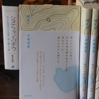 湖まで／大崎清夏