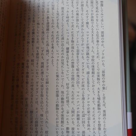 動物には何が見え、聞こえ、感じられるのか 人間には感知できない驚異の環世界／エド ヨン  久保 尚子 訳
