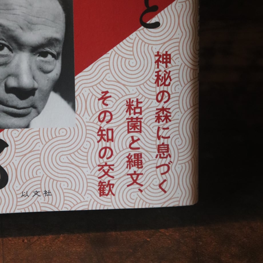 686b6078be11ec91d19a3675