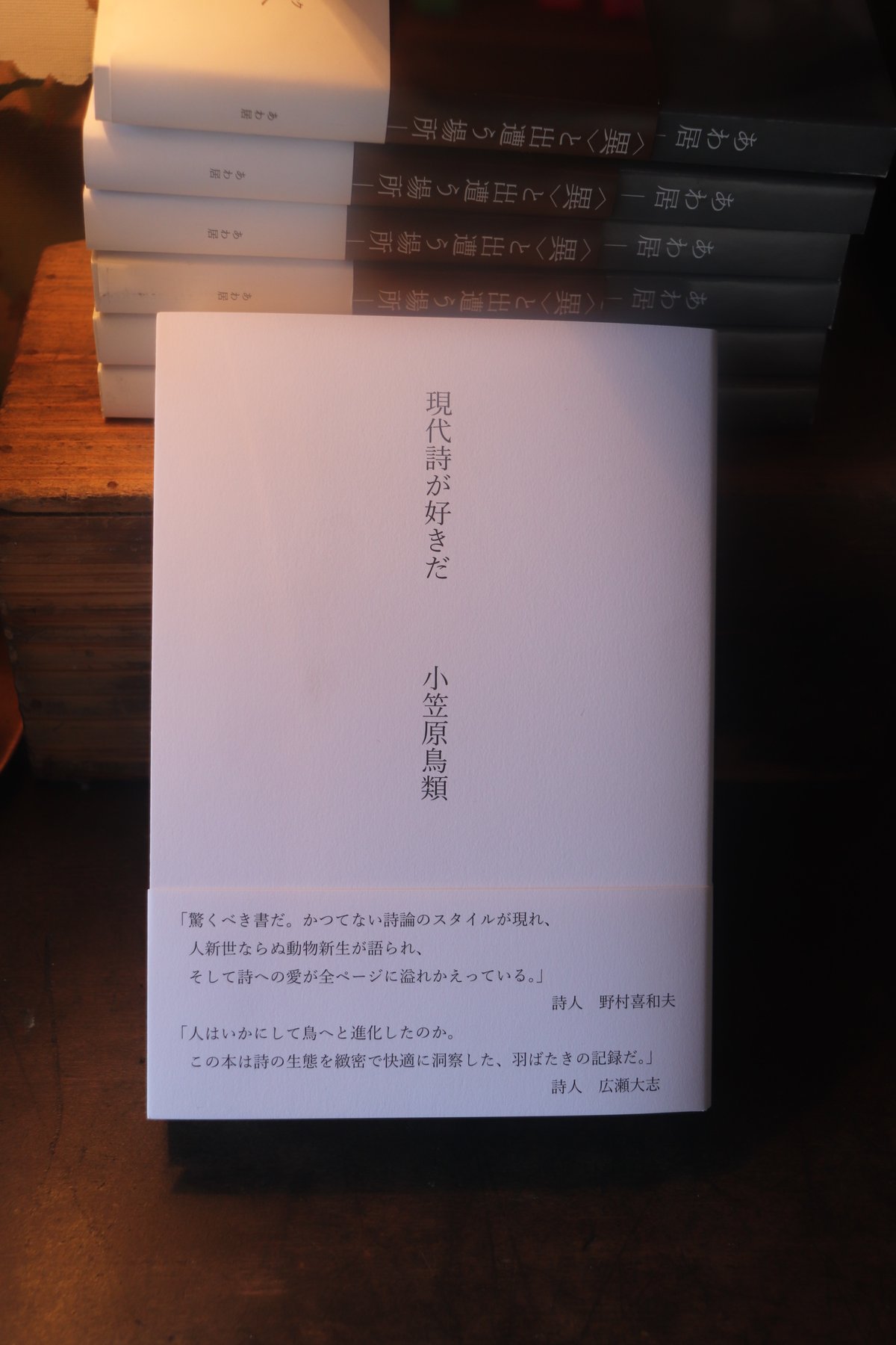 小笠原鳥類 詩集 小笠原鳥類 評論集 『現代詩が好きだ』 | 小笠原鳥類 |本 | 通販