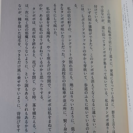 古本屋 タンポポのあけくれ／片岡千歳