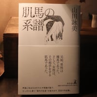 叢書・ウニベルシタス 生の肯定―ニーチェによるニヒリズムの克服