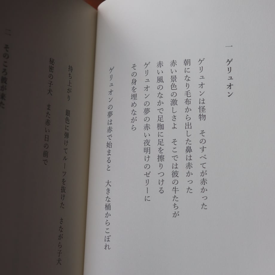 6832a06c02ecc3356007c005