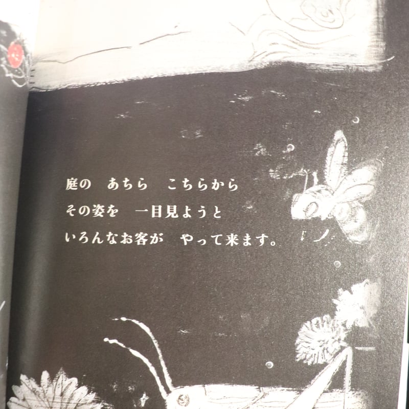 金曜日の砂糖ちゃん 酒井駒子 サイン本 酒井駒子 Komako Sakai 