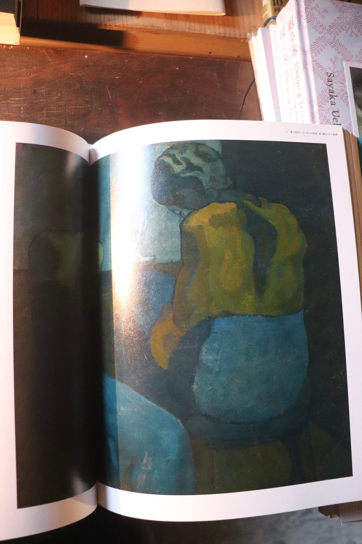 ピカソ 青の時代を超えて PICASSO THE BLUE PERIOD AND BEYOND