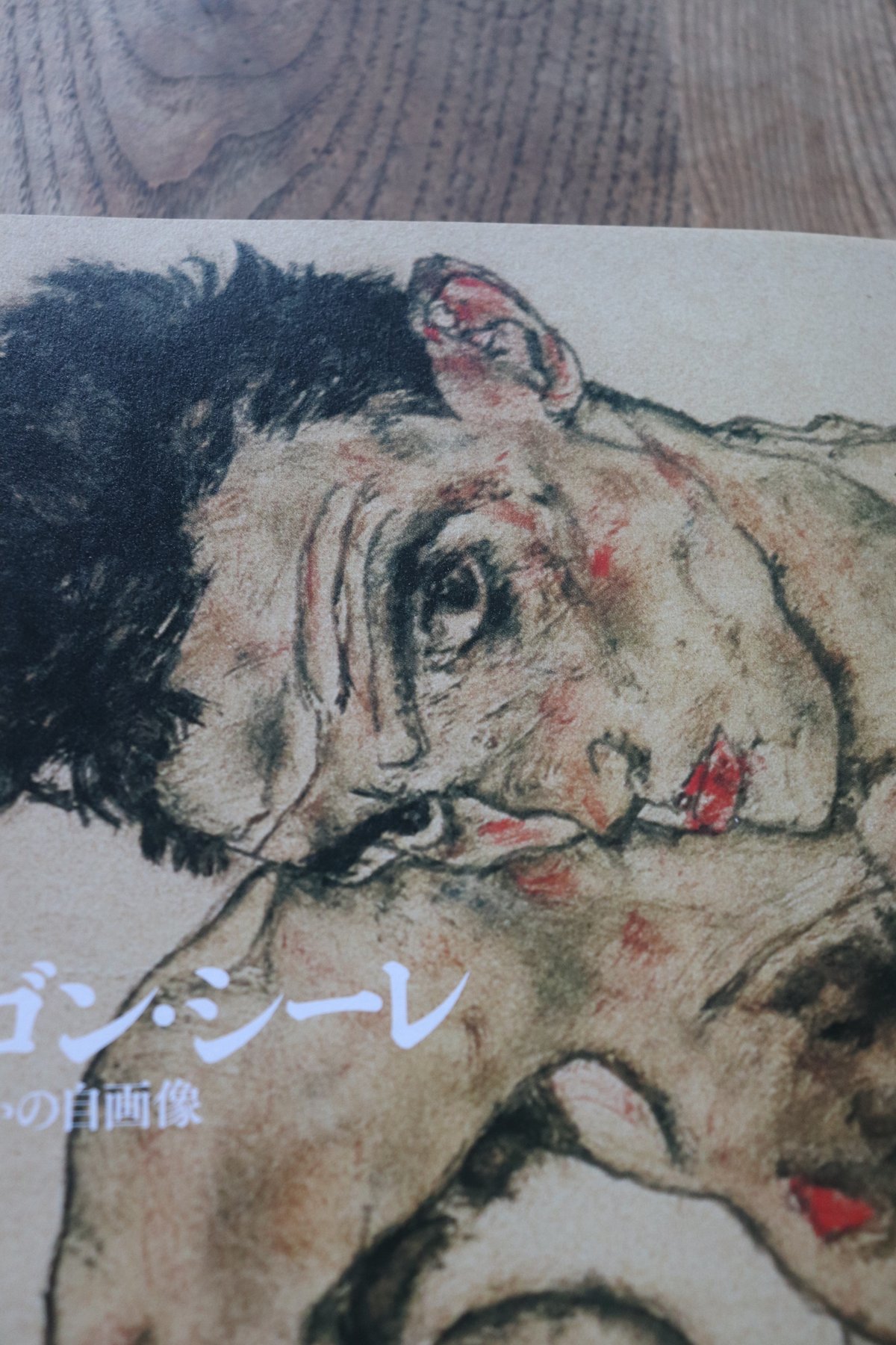 エゴン・シーレ、【鏡の前で】、希少な画集画、状態良好 エゴン・シーレ、【鏡の前で】、希少な画集画、状態良好 （生と