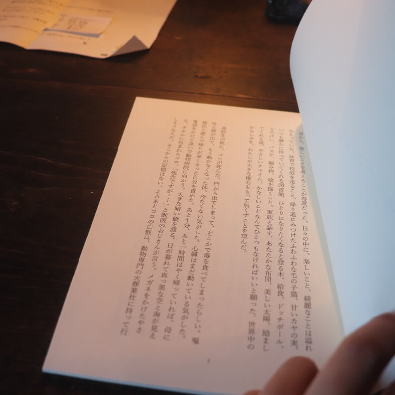 悲しみについて本気出して考えてみた ／中田実希 | 庭文庫 WEBSHOP