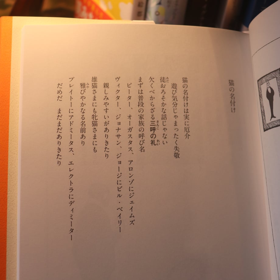 66ff7f25646cf105568cdd84