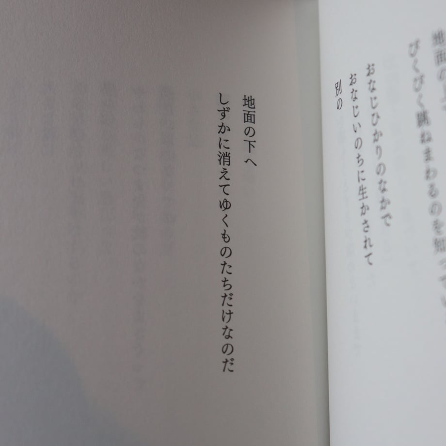 66c40035f30db2002c542417