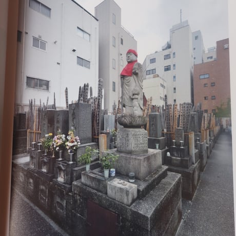 内藤礼　わたしは生きた
