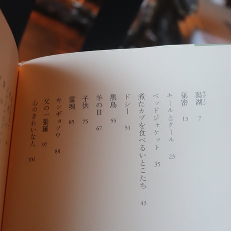 潟湖／ジャネット・フレイム　山崎暁子・訳