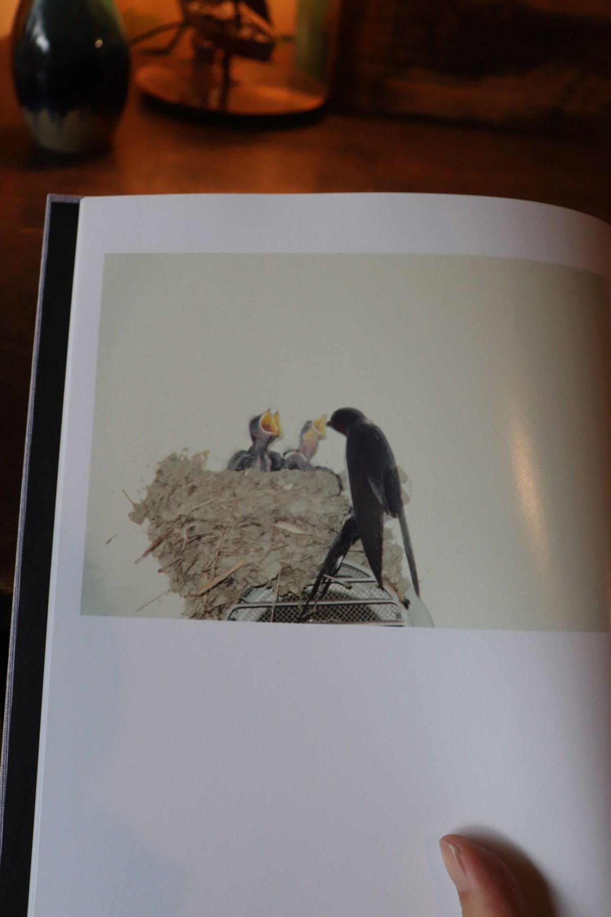Byung-Hun Min 「 Des Oiseaux 」鳥の写真集　風景　自然 Des oiseaux（On birds） | 庭文庫 WEBSHOP