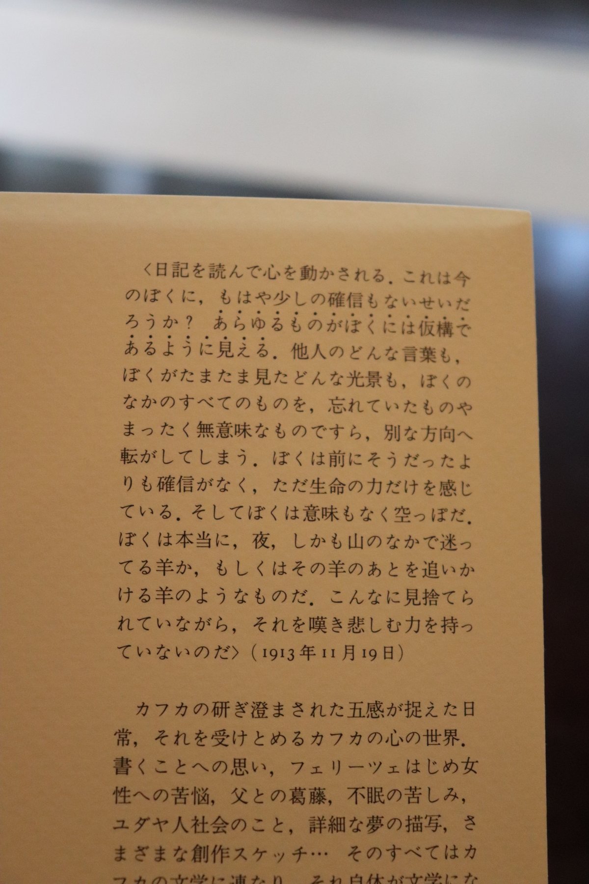 カフカの日記【新版】 1910-1923／著者 フランツ・カフカ 編者