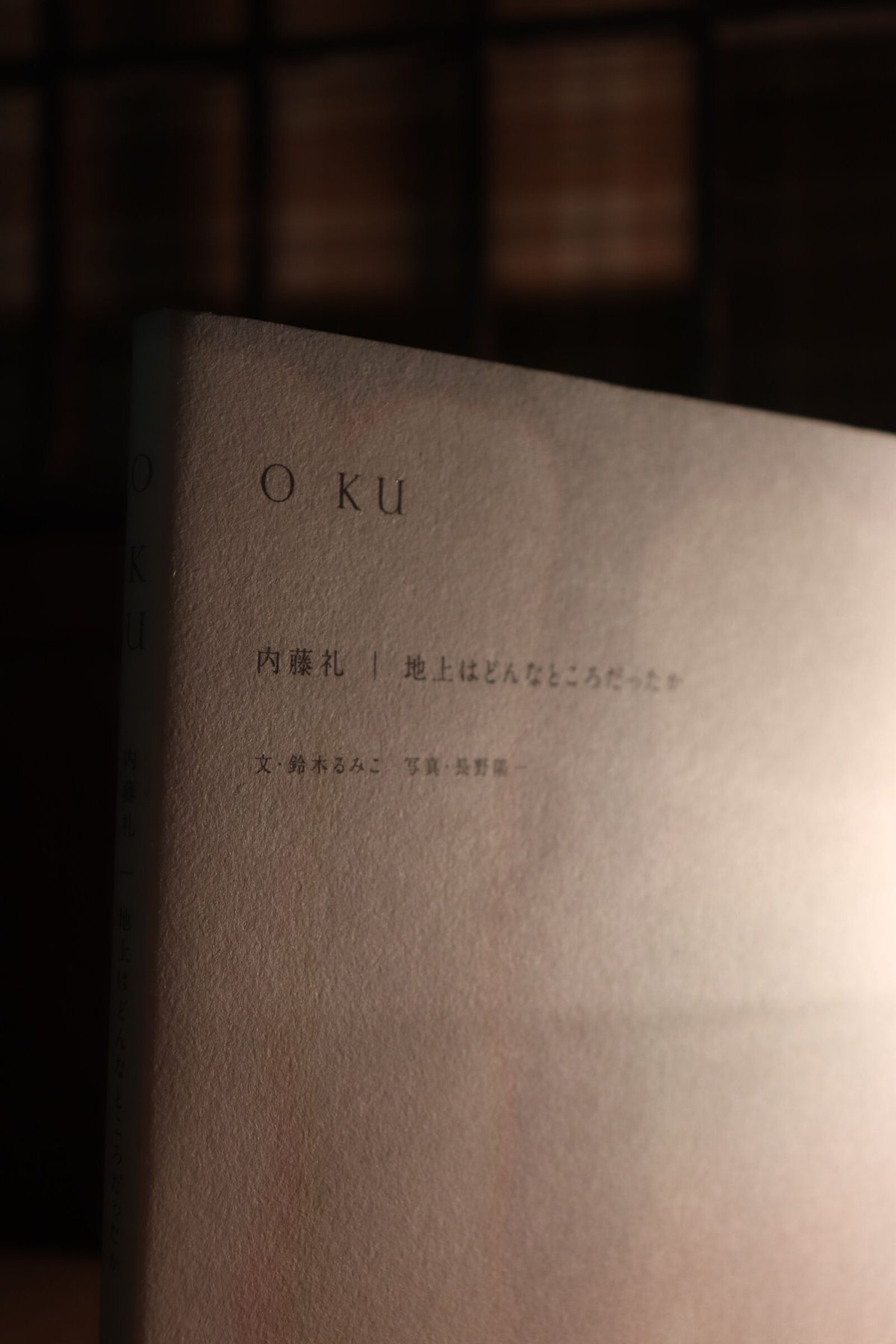 O KU 内藤礼｜地上はどんなところだったか | 庭文庫 WEBSHOP