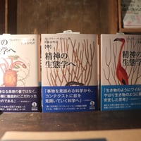 土方巽全集 2／土方巽 著 種村季弘 編 鶴岡善久 | 庭文庫 WEBSHOP