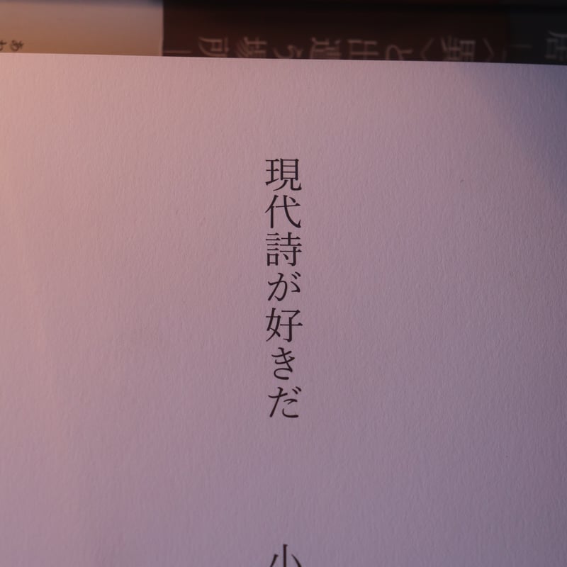 現代詩が好きだ／小笠原鳥類 | 庭文庫 WEBSHOP