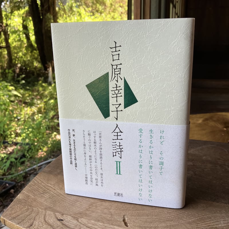 【中古】 優しい獣 詩集/花神社/中畑信子 高村光太郎『詩集 典型』（中央公論社） | モクレン文庫