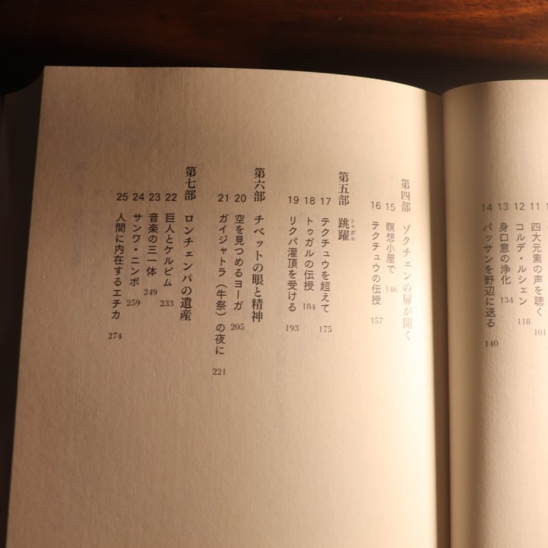 精神の考古学／中沢新一 | 庭文庫 WEBSHOP