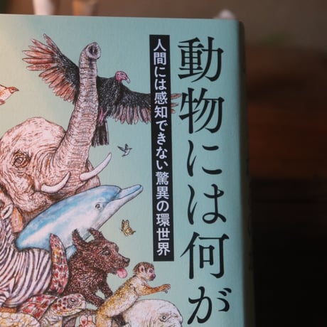 動物には何が見え、聞こえ、感じられるのか 人間には感知できない驚異の環世界／エド ヨン  久保 尚子 訳