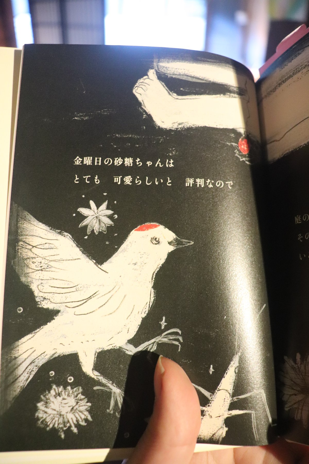 金曜日の砂糖ちゃん (Luna Park Books)／酒井駒子 | 庭文庫 WEBSHOP