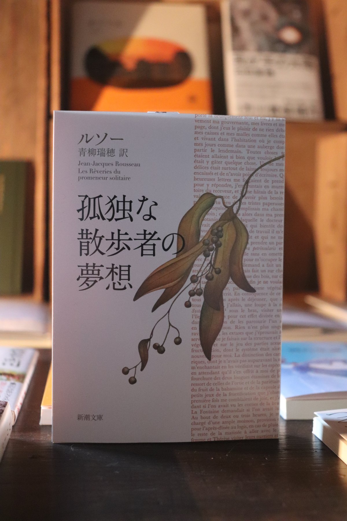 孤独な散歩者の夢想 | 庭文庫 WEBSHOP