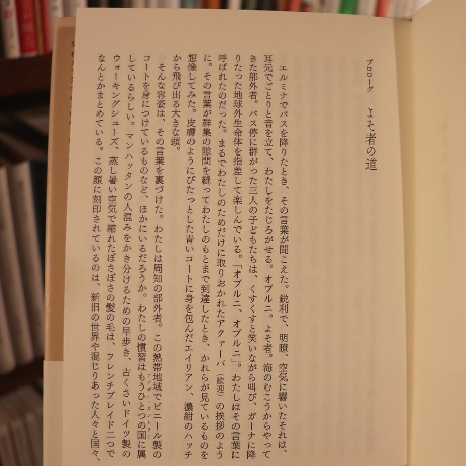 6649812384ab9a099d235676
