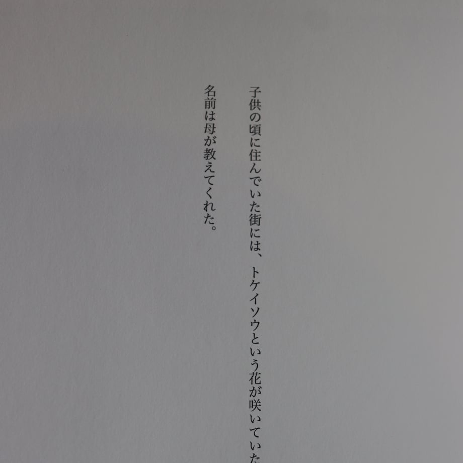 672a183e27d5b2136876b6c6