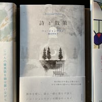 文化のなかの野性―芸術人類学講義』 | 庭文庫 WEBSHOP