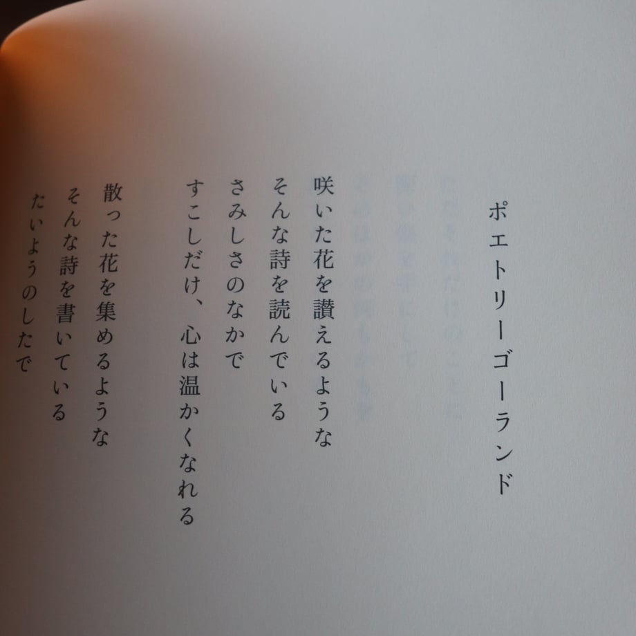 67bad566c56f4813f7b3d894