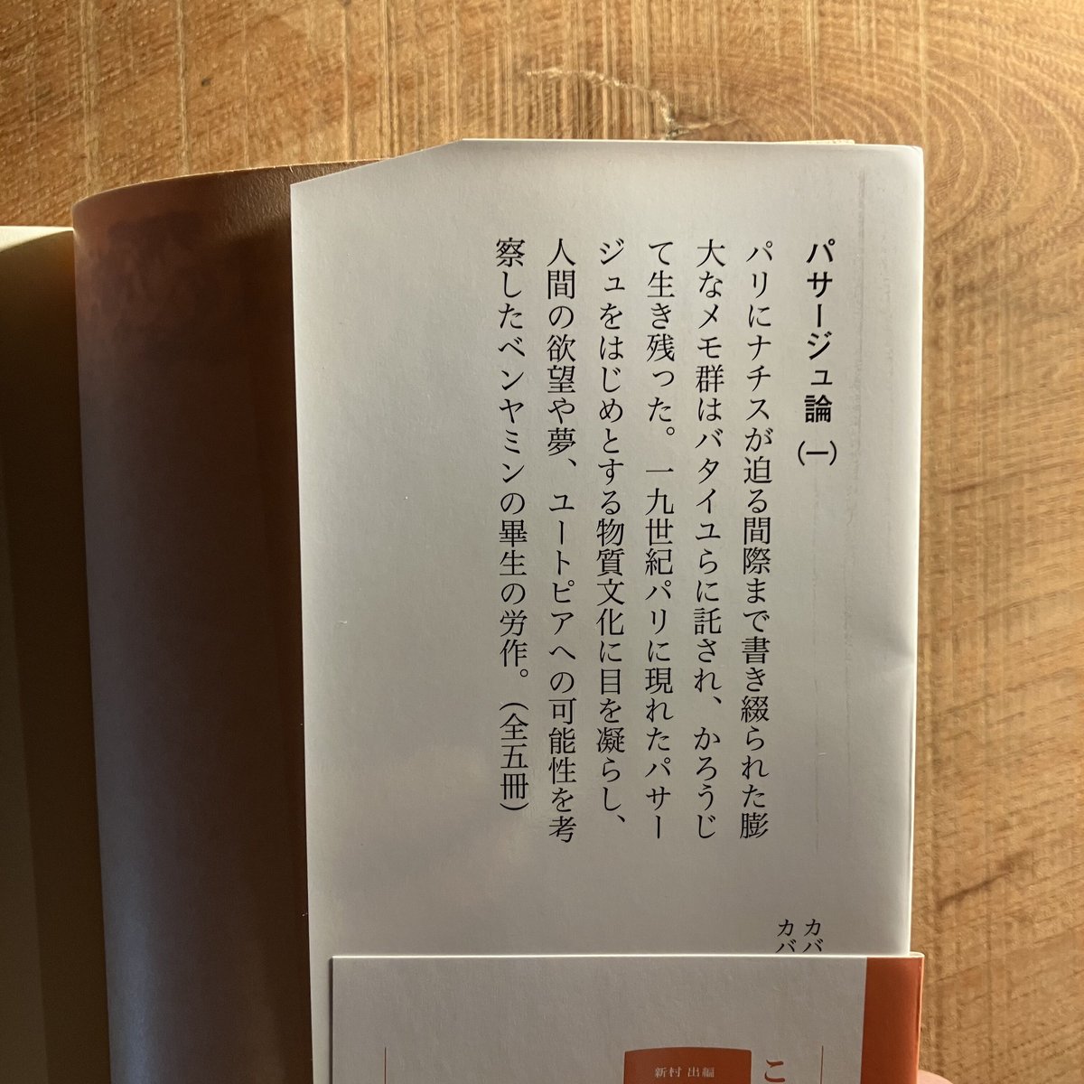 パサージュ論 1 | 庭文庫 WEBSHOP