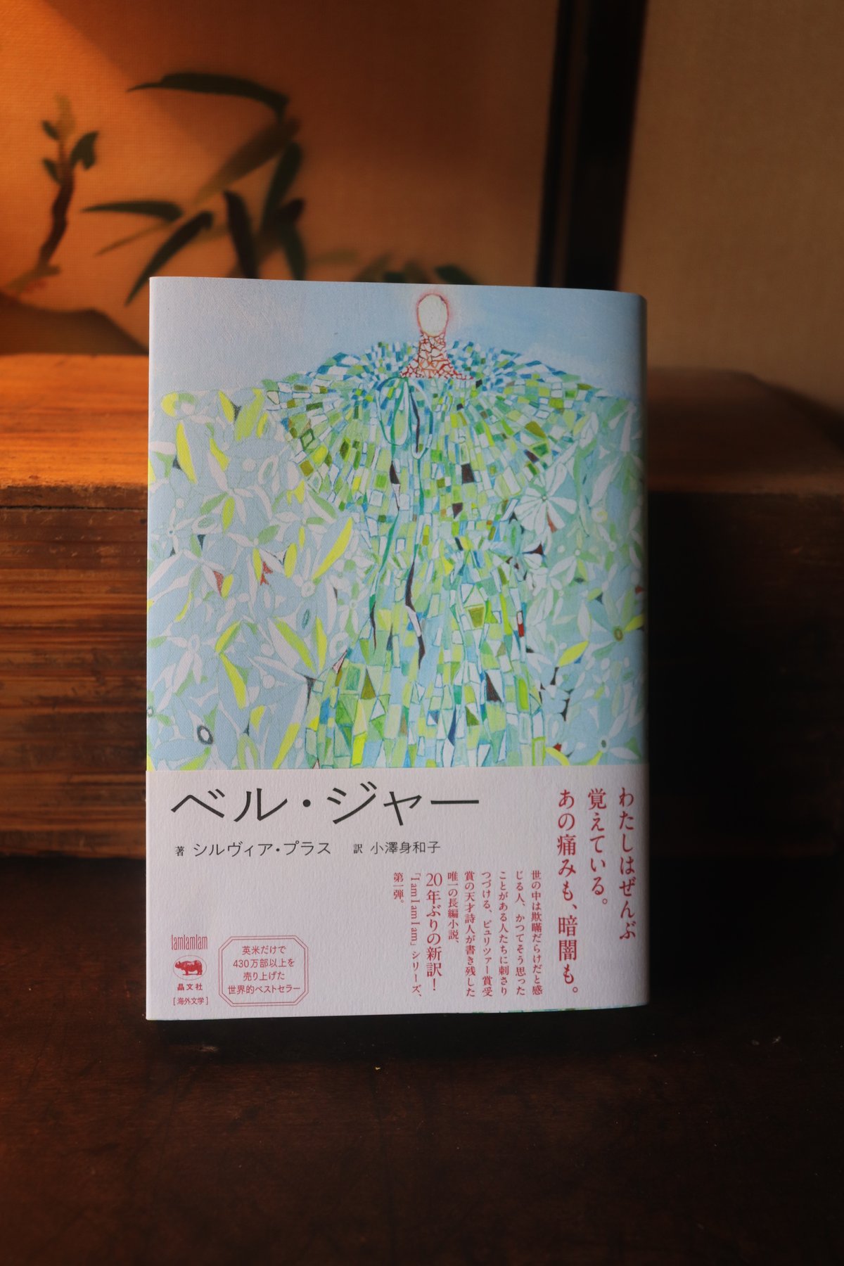 洋書 ペルシャ語 / ハーフェズ詩集 / 解説: バハウディン・ホラームシャヒ 洋書 ペルシャ語 / ハーフェズ詩集 / 解説: バハウディン
