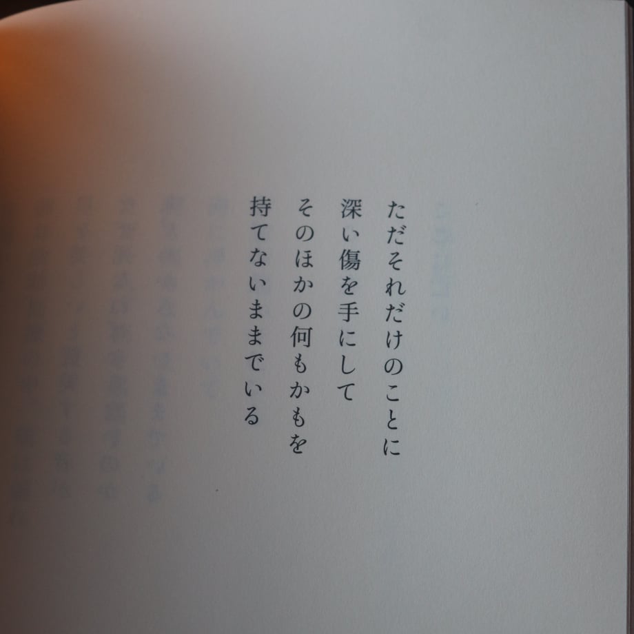 67bad566c56f4813f7b3d894