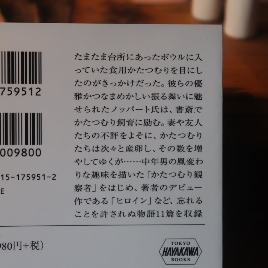 6868dbcfa2895b07c7c10a8a