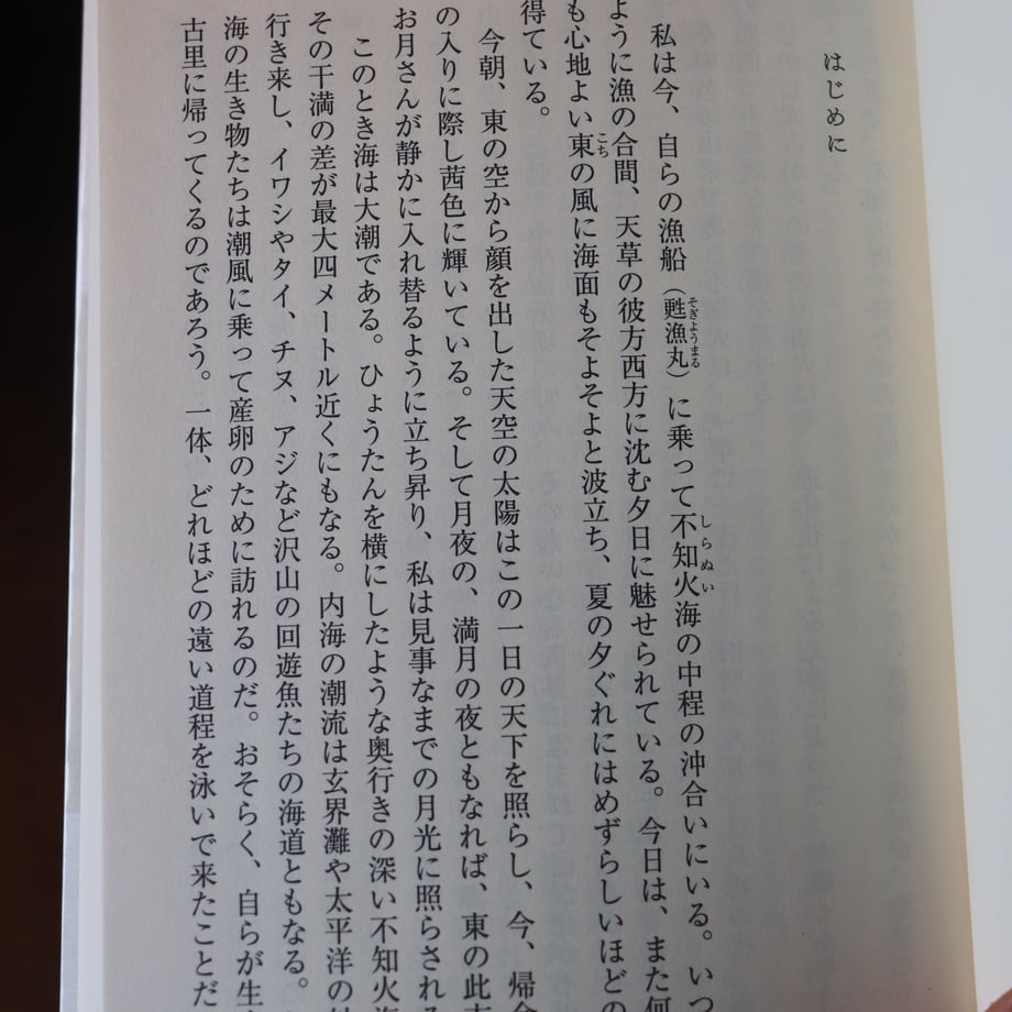 67ea149fd34c9c007b9c2d17