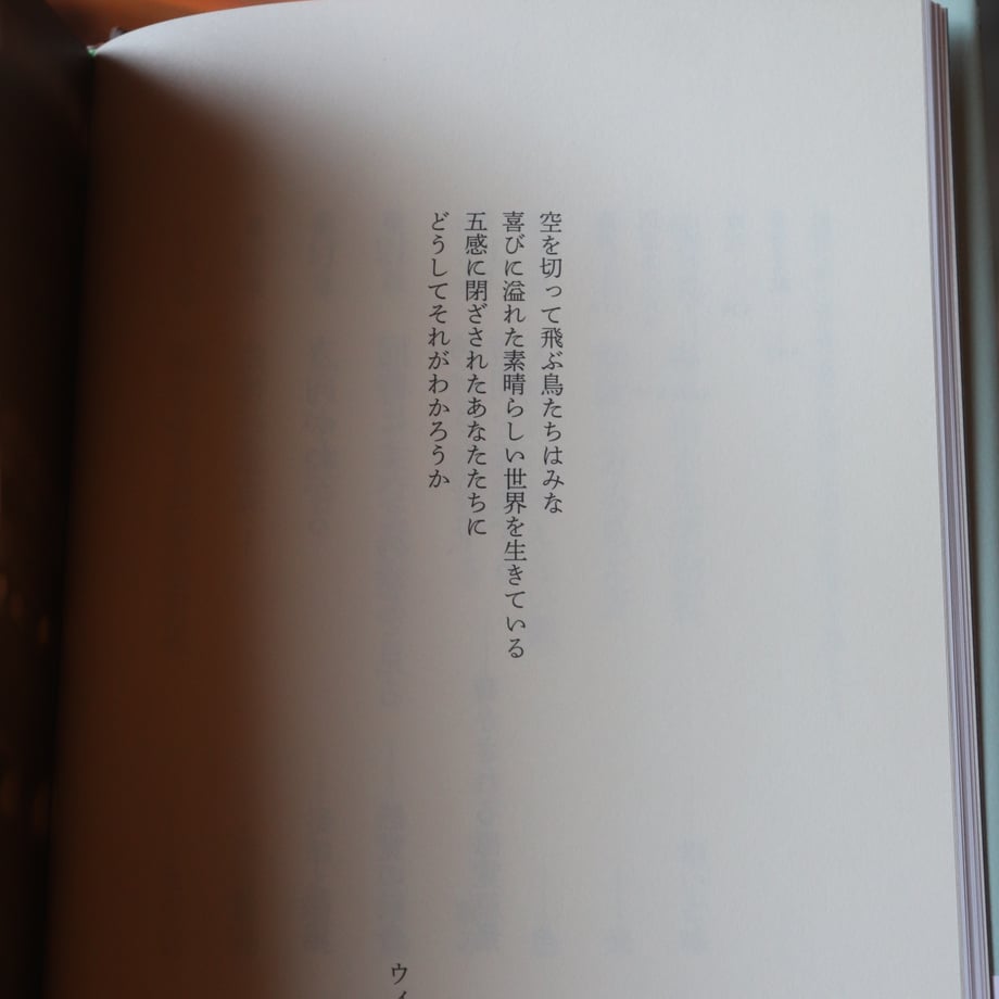 688f211ccac6f91cce591b71