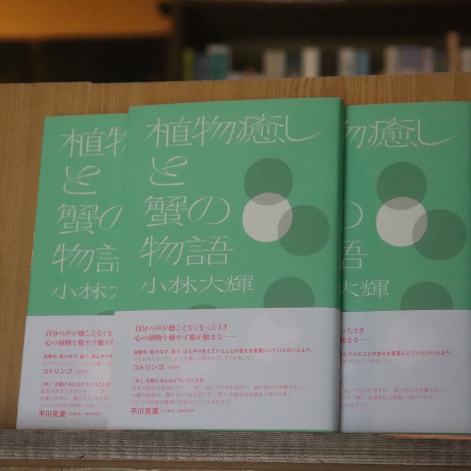 6698a6c3b8793a026b070a4c