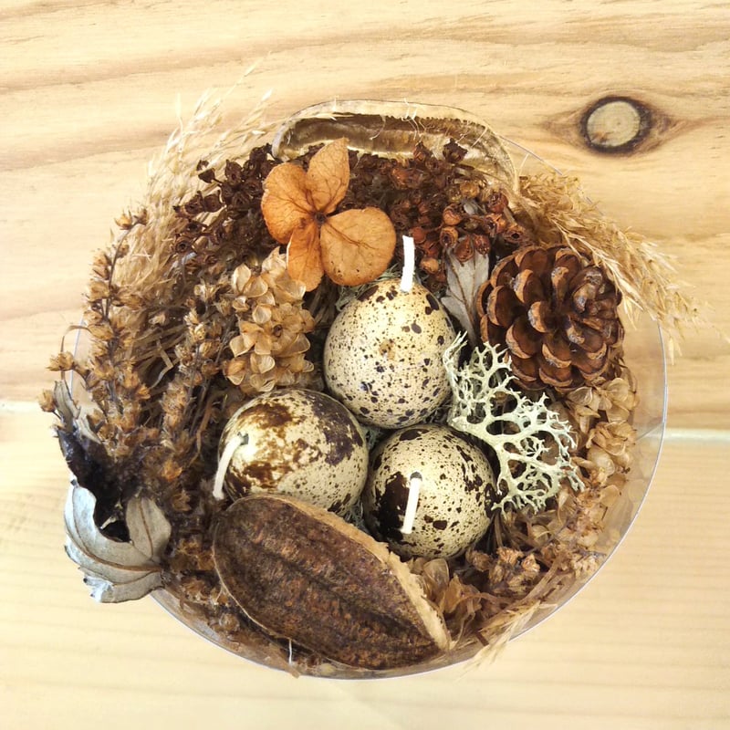 鳥の巣キャンドル【小鳥の巣】 | ノンノの森・ネイチャーショップ