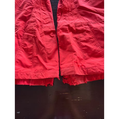 1980s Patagonia
