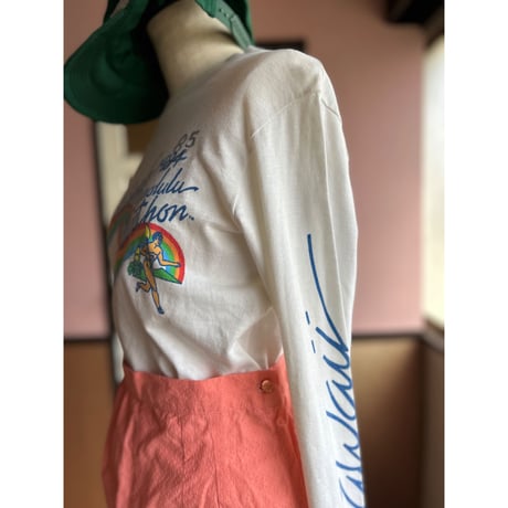 1980s 虹