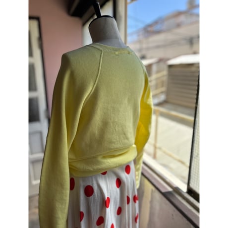 70ｓ　vintage SKIスゥエット