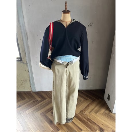 dickies⑥