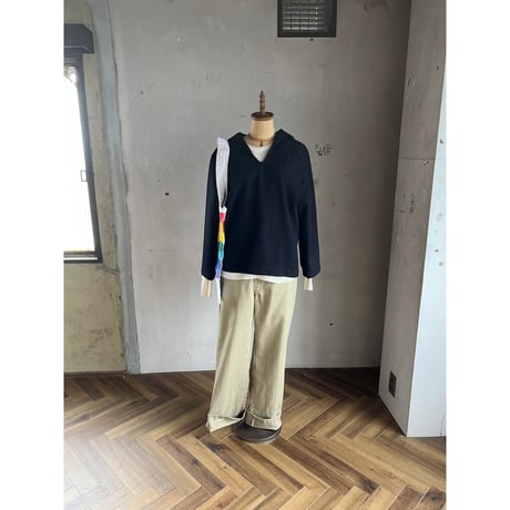 dickies⑦