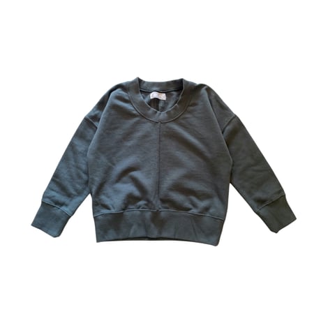 sample: TOP GRAY :M (110cm)