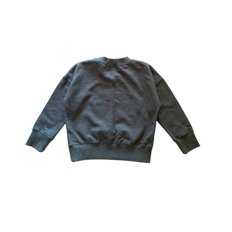 sample: TOP GRAY :M (110cm)