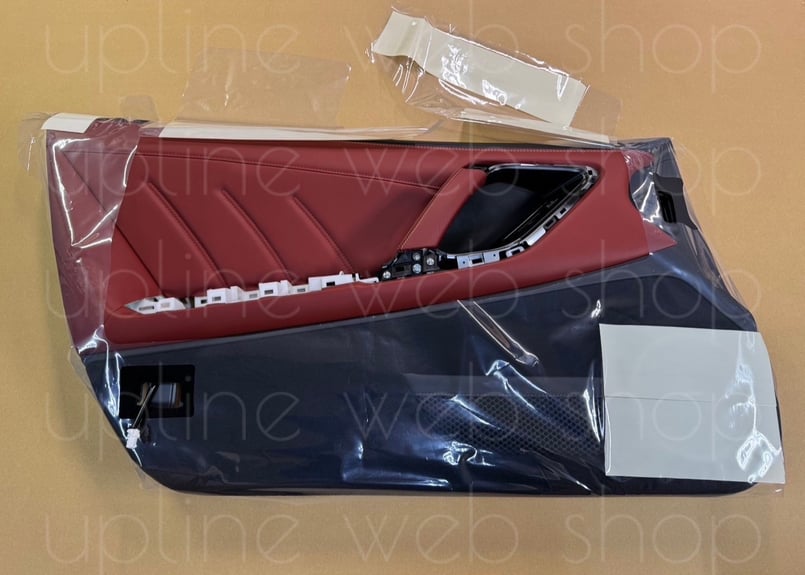 R35GT-R 2025 ファッショナブルインテリア フロントドア