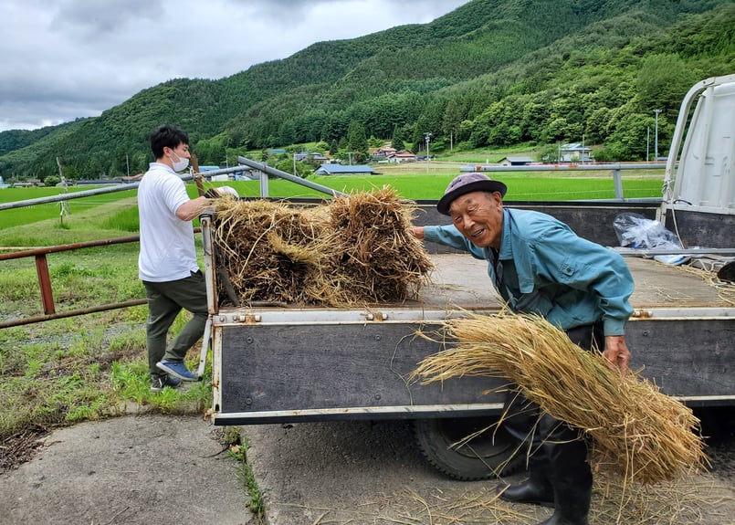 受注生産】藁（わら）の草履 Rice Straw Zouri Sandals | TONO