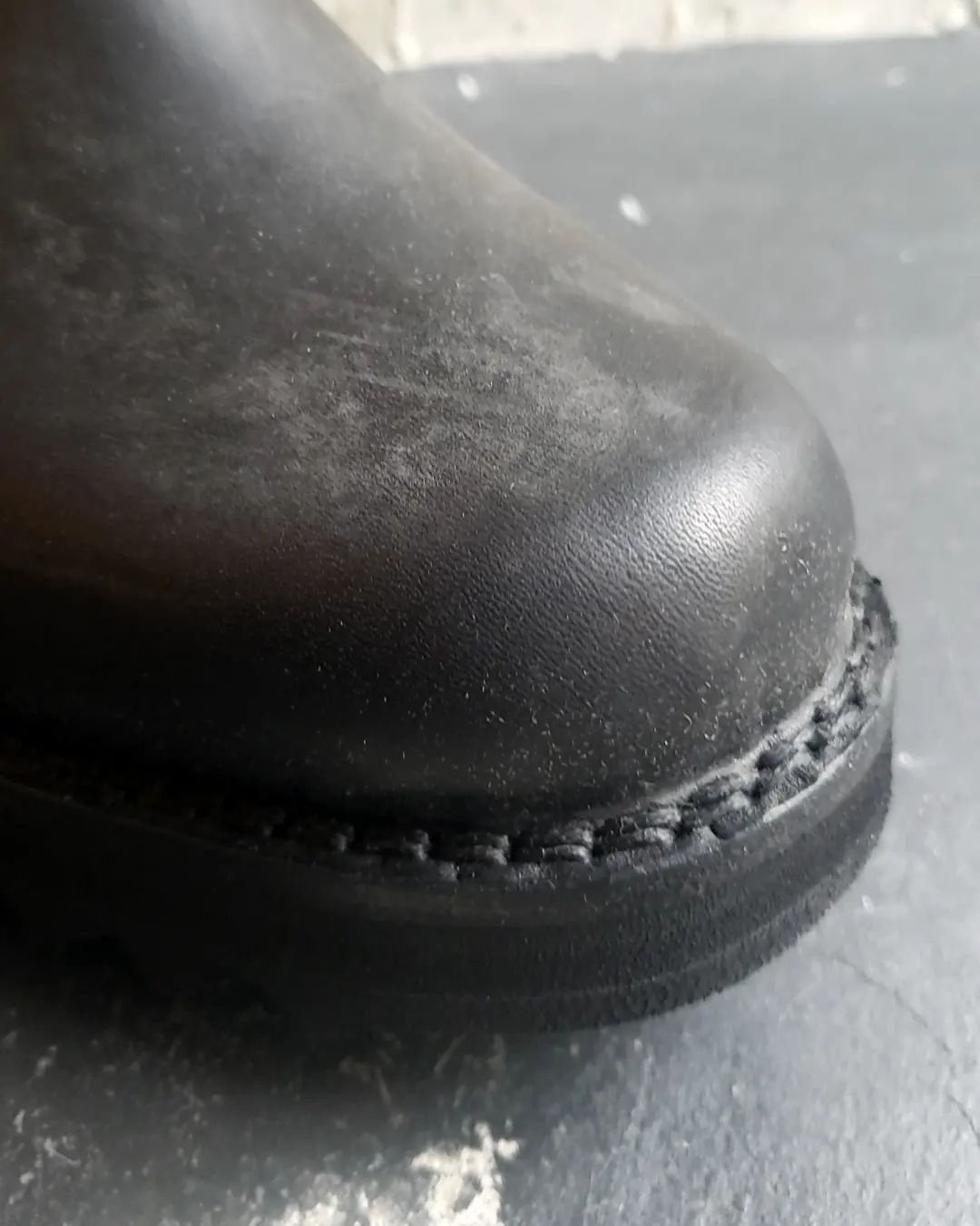 VERNACOLO SABO | SURPLUS OITA