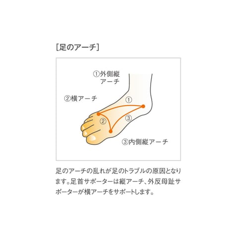 HOLZAC　シリコンテーピングサポーター　足首用（1枚入り）