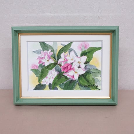 沈丁花 | STORES 沈丁花 | STORES