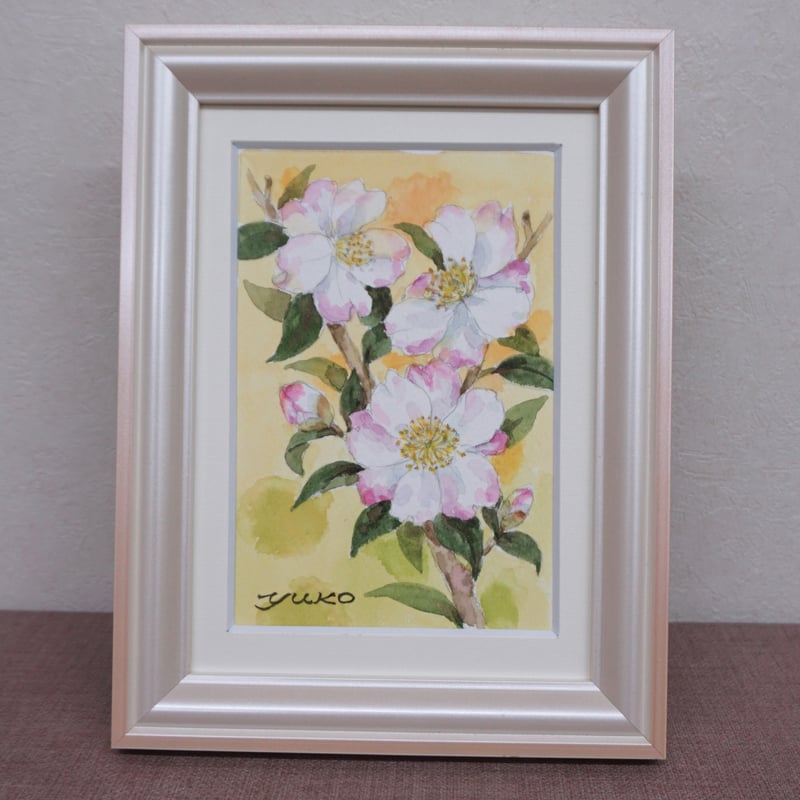 白とピンクの山茶花 | 野の花のギャラリー